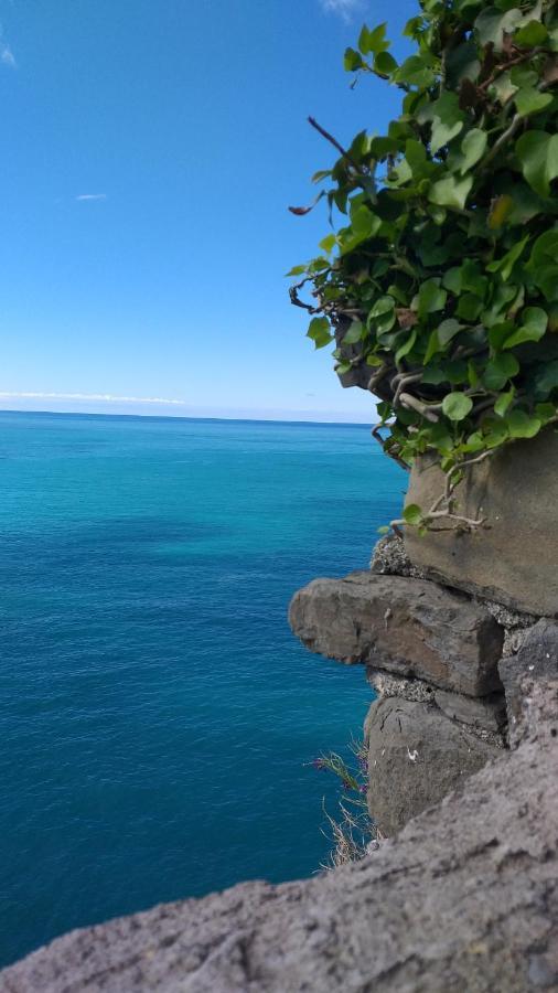 Il Timone Corniglia