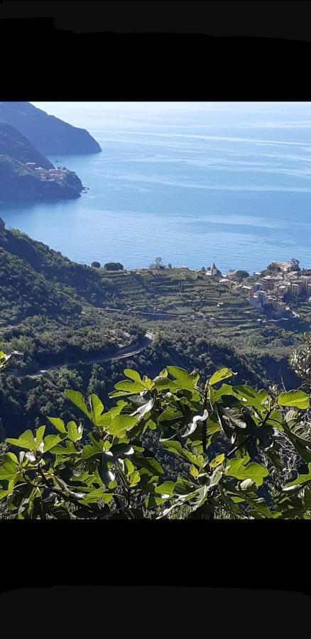 Il Timone Corniglia