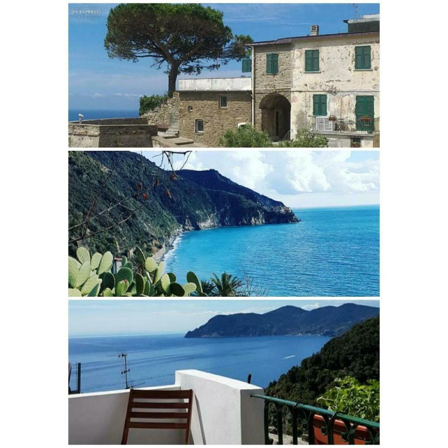 Il Timone Guest house Corniglia