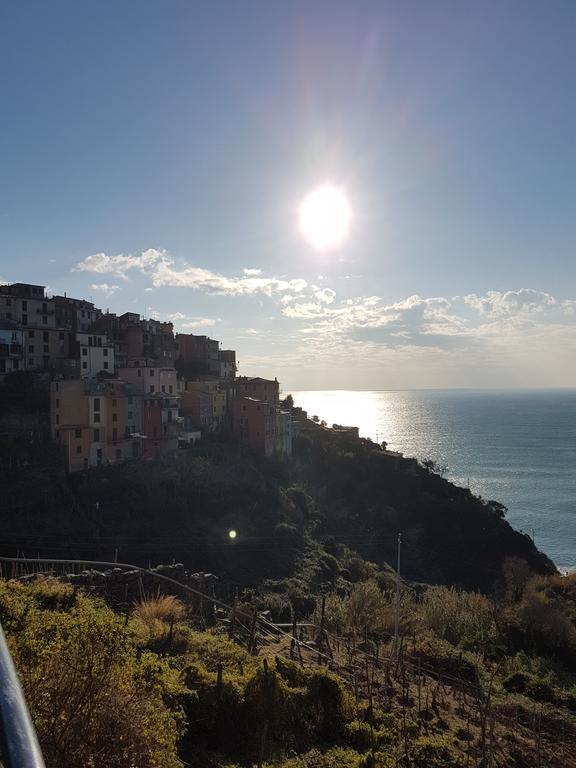Guest house Il Timone