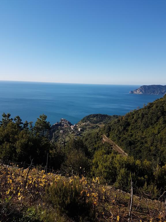 Guest house Il Timone Corniglia