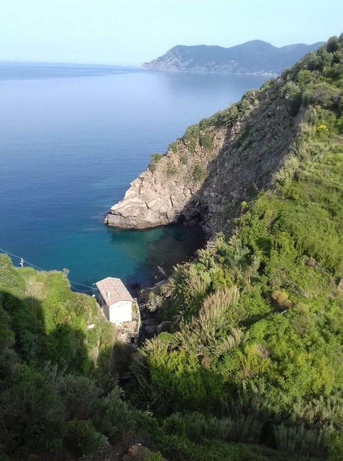 Il Timone Guest house *
